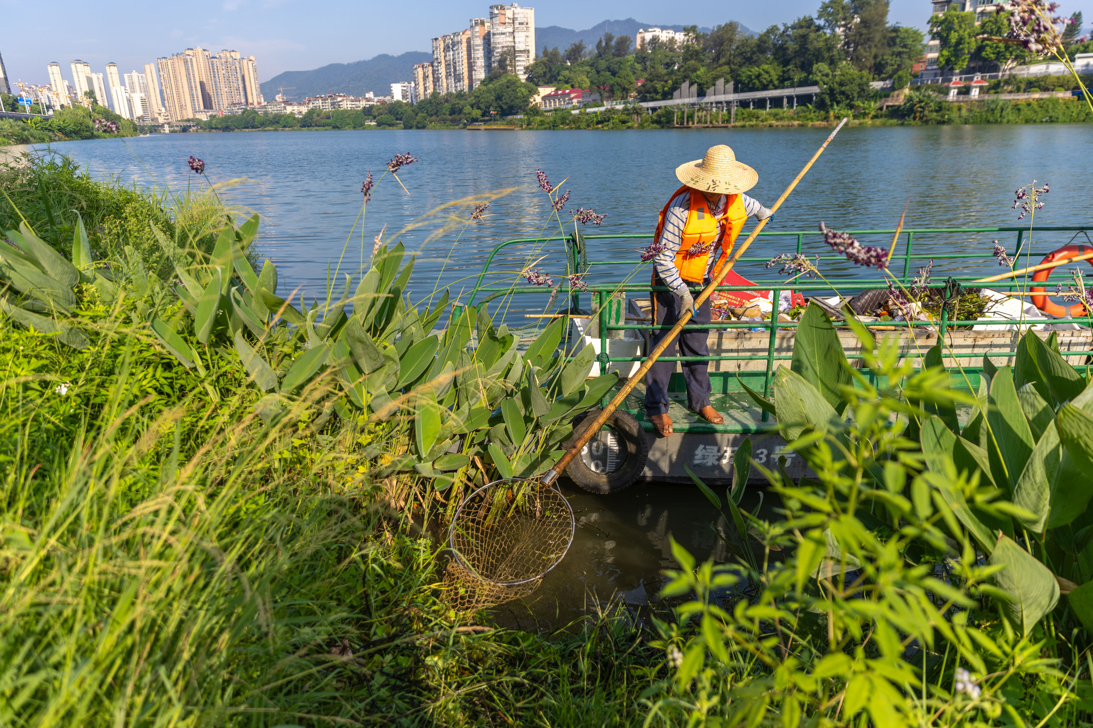 三元：烈日下的沙溪河“清道夫”汗水浸透衣衫，守护“一汪碧水”