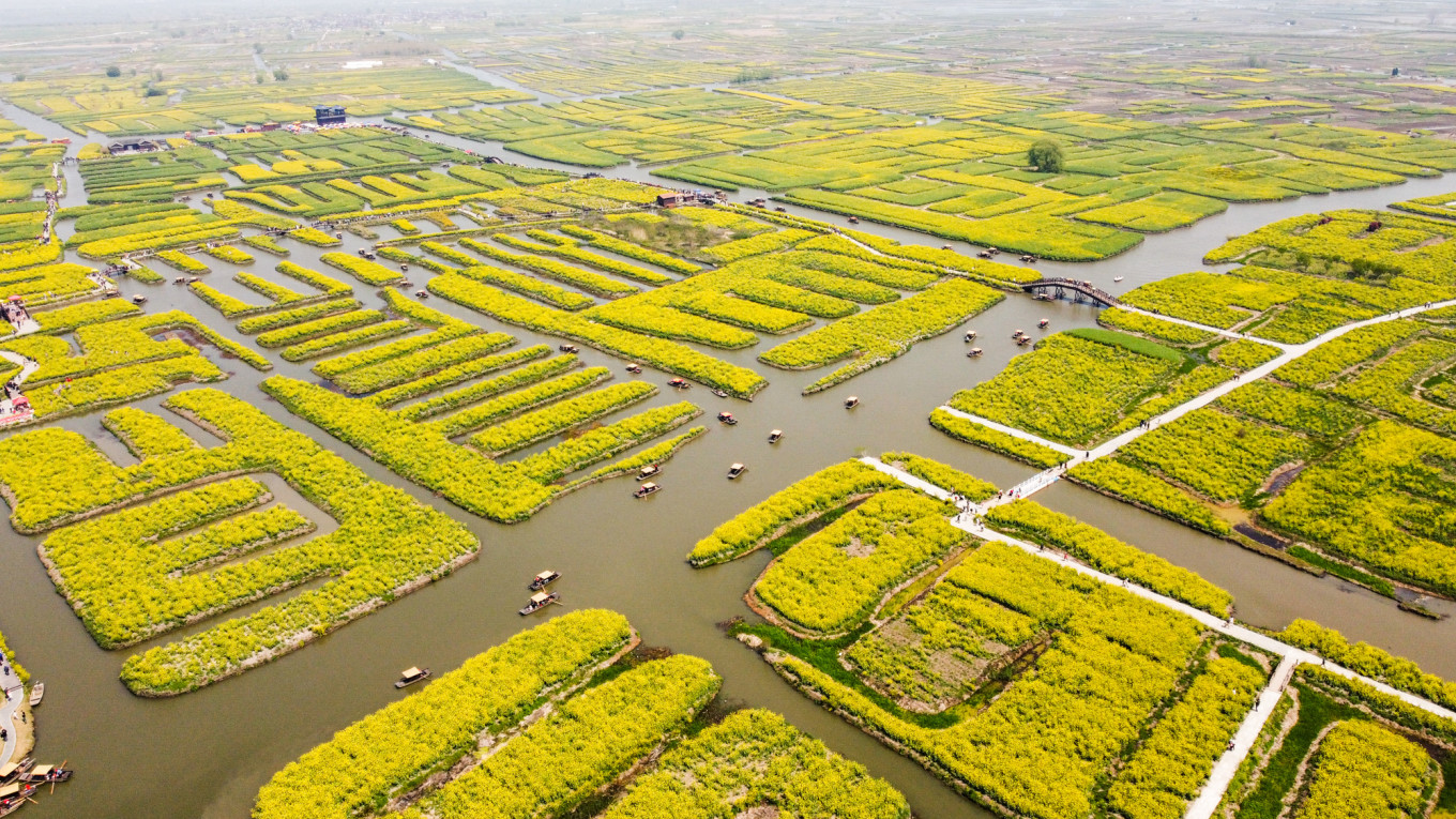 春日下江南杭州,泰州一日游攻略美食