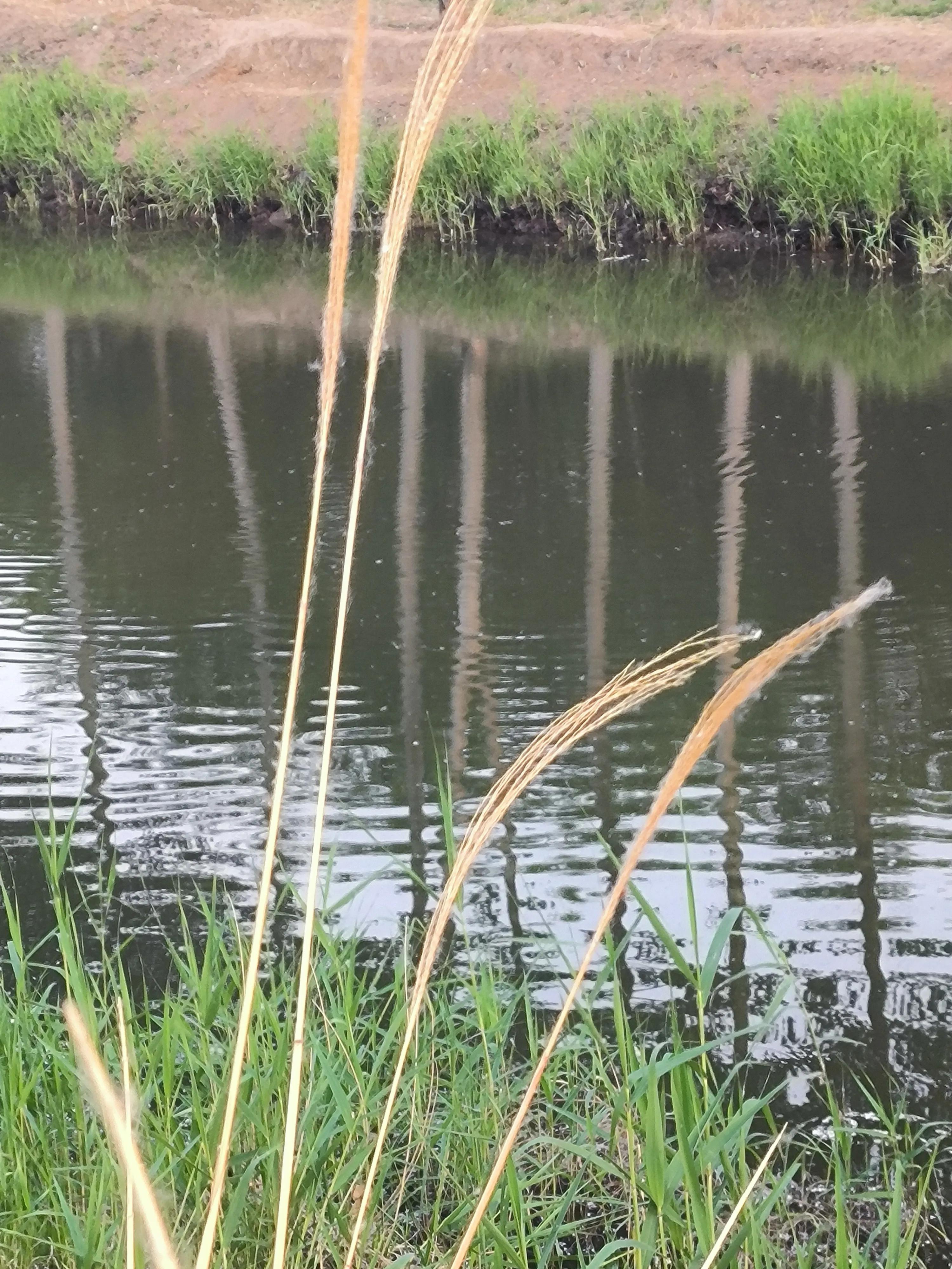 经典七字对联集锦欣赏,经典对联合集大全简单