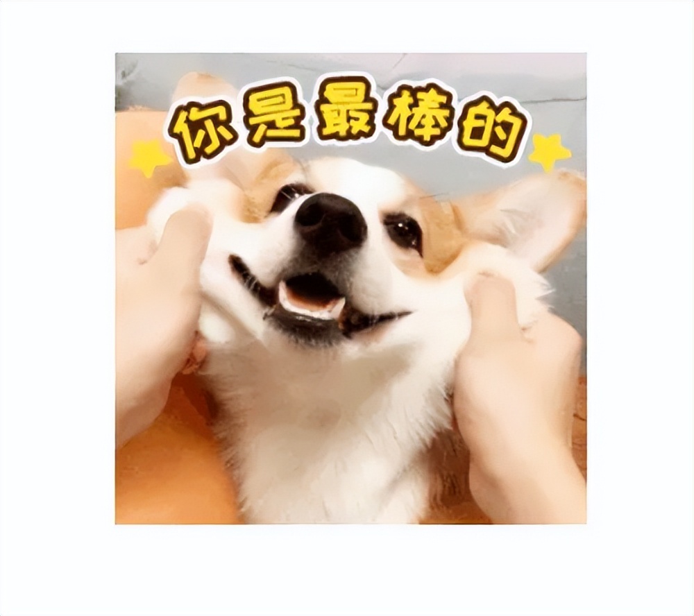 在中国程序员能不能干一辈子,在中国程序员这行能干一辈子吗