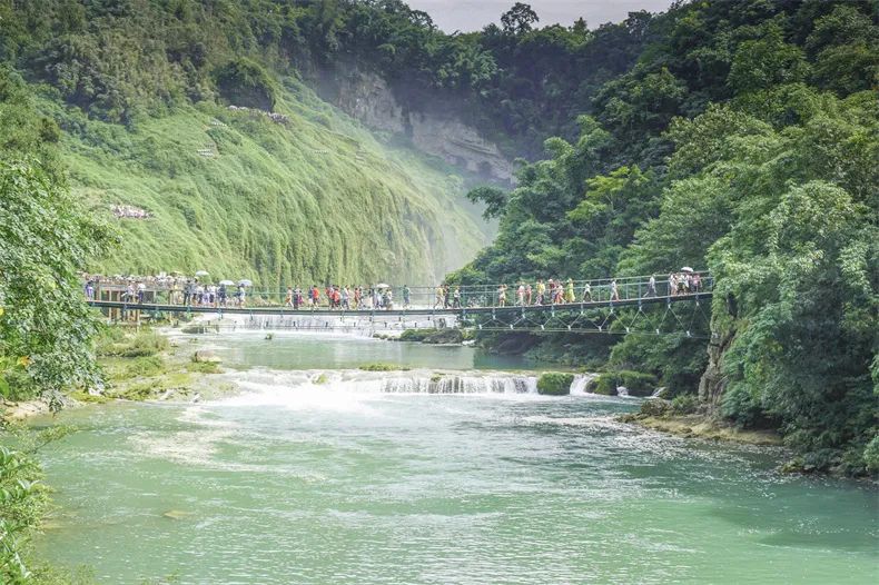 贵州樱花风景区一日游,半城樱花贵阳