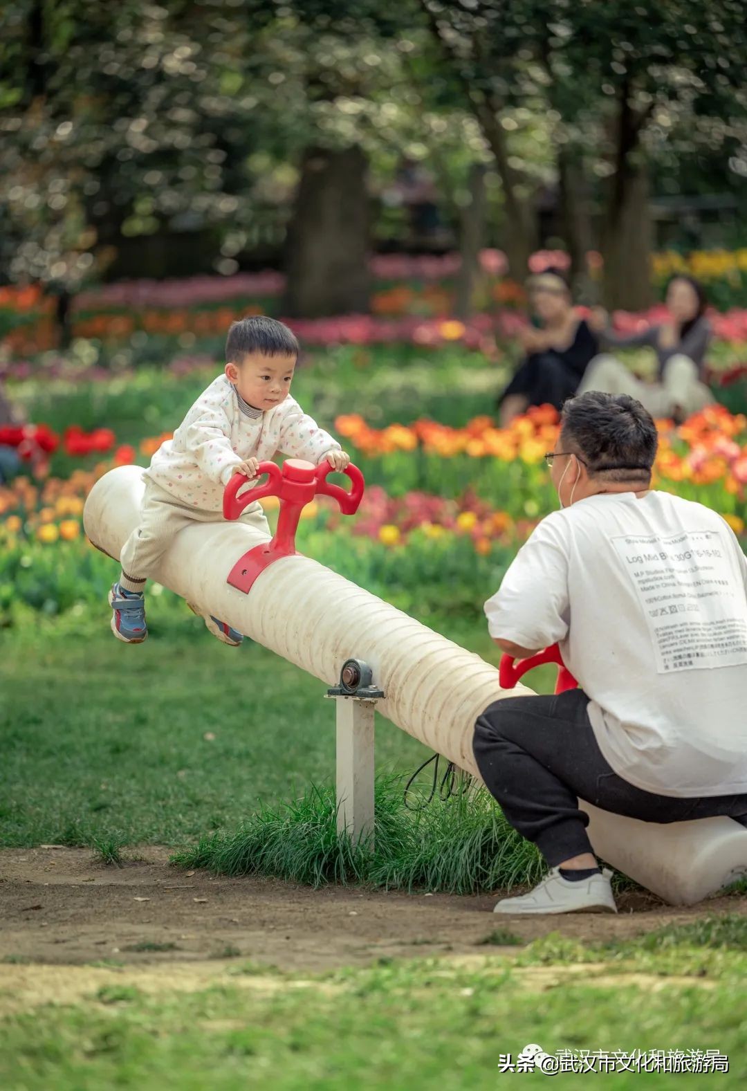 不出武汉旅游推荐,五一不出武汉三日游适合去哪里