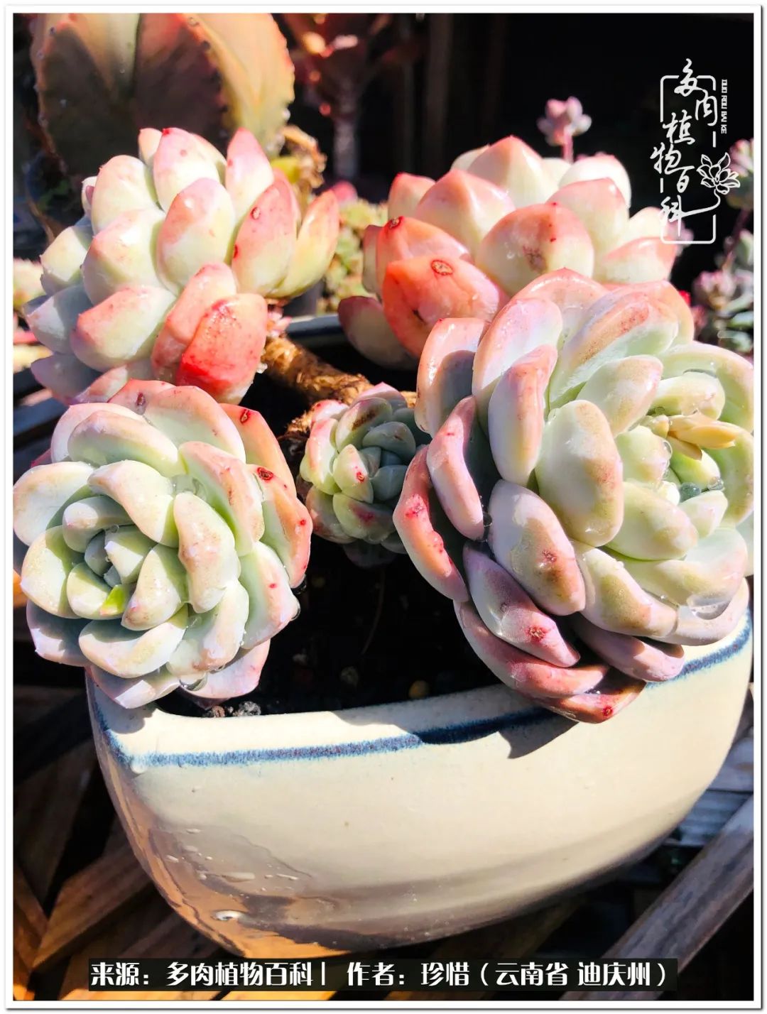 给生命一份淡然还岁月一份从容,给生命留一份洒脱的话