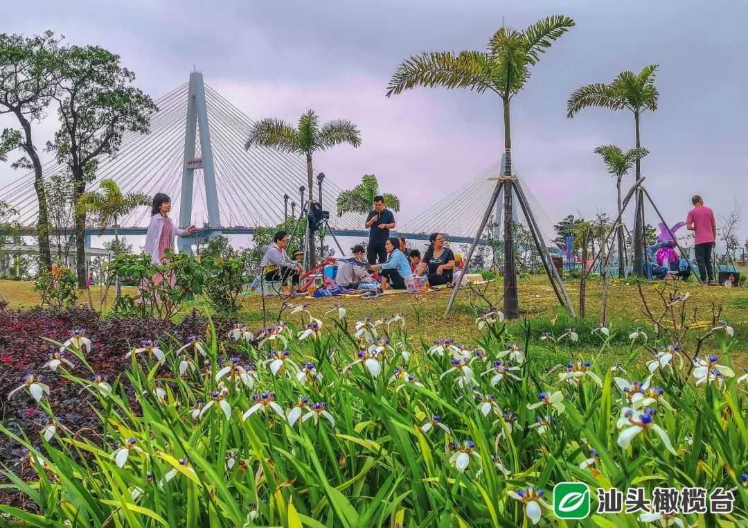 南通搭帐篷露营的好去处,楠溪江轻奢露营营地