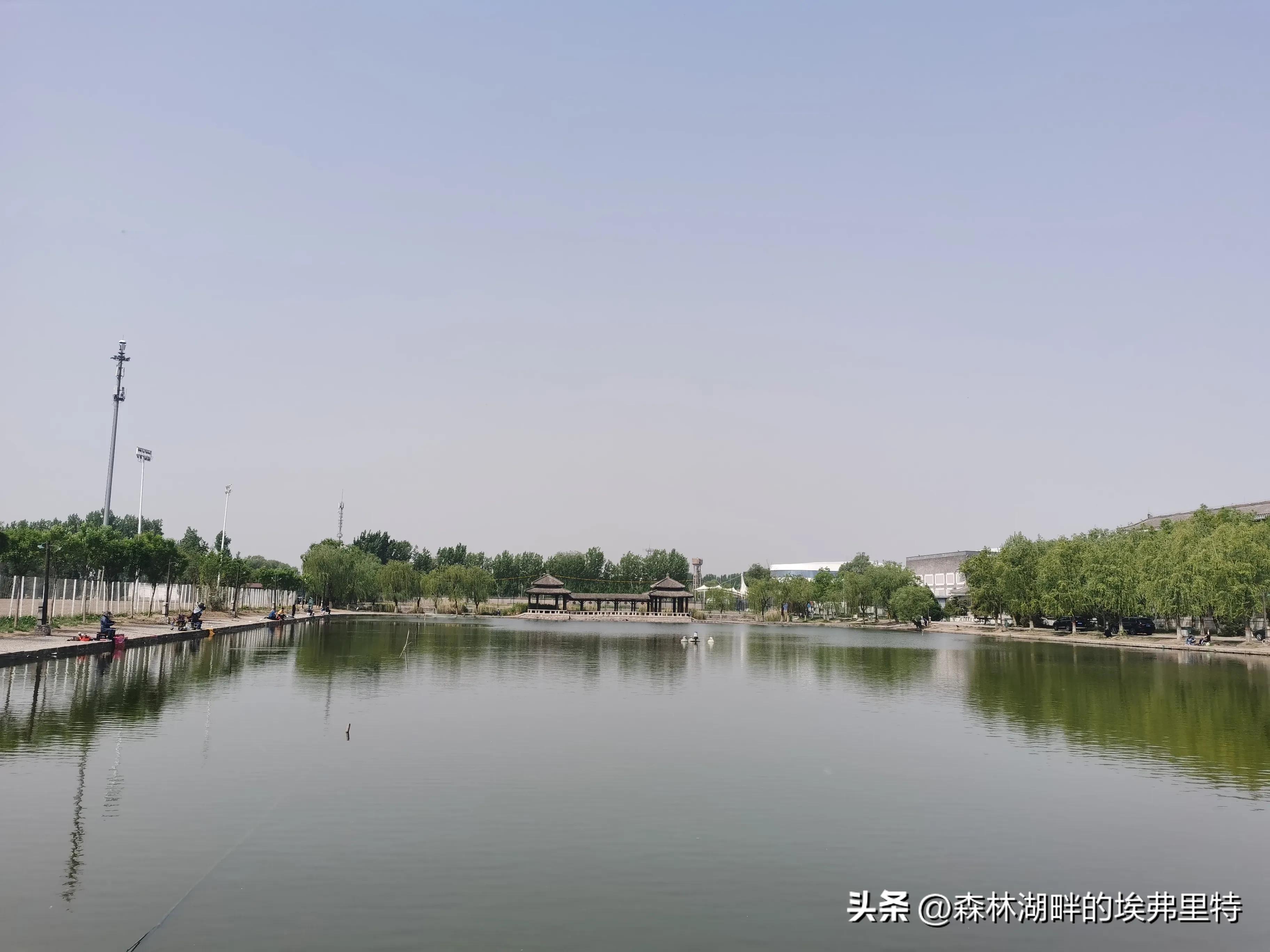 蟹岛度假村火灾,蟹岛度假村视频