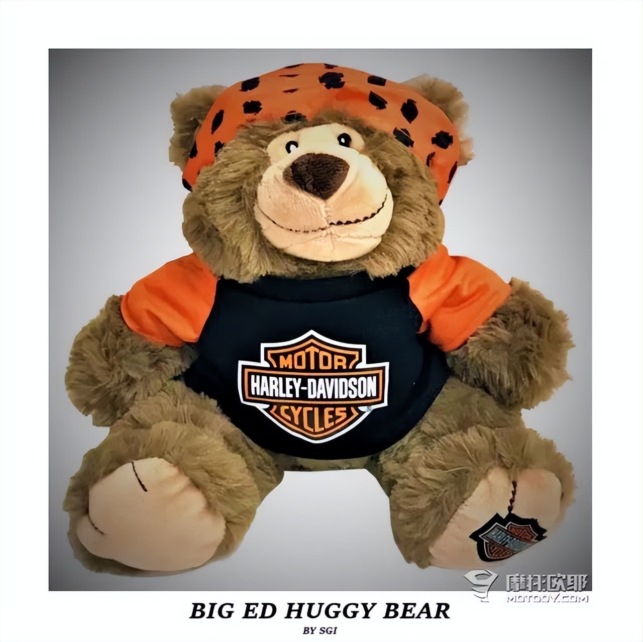 摩托车后面为什么放个玩具熊,摩托车上为什么挂毛绒玩具