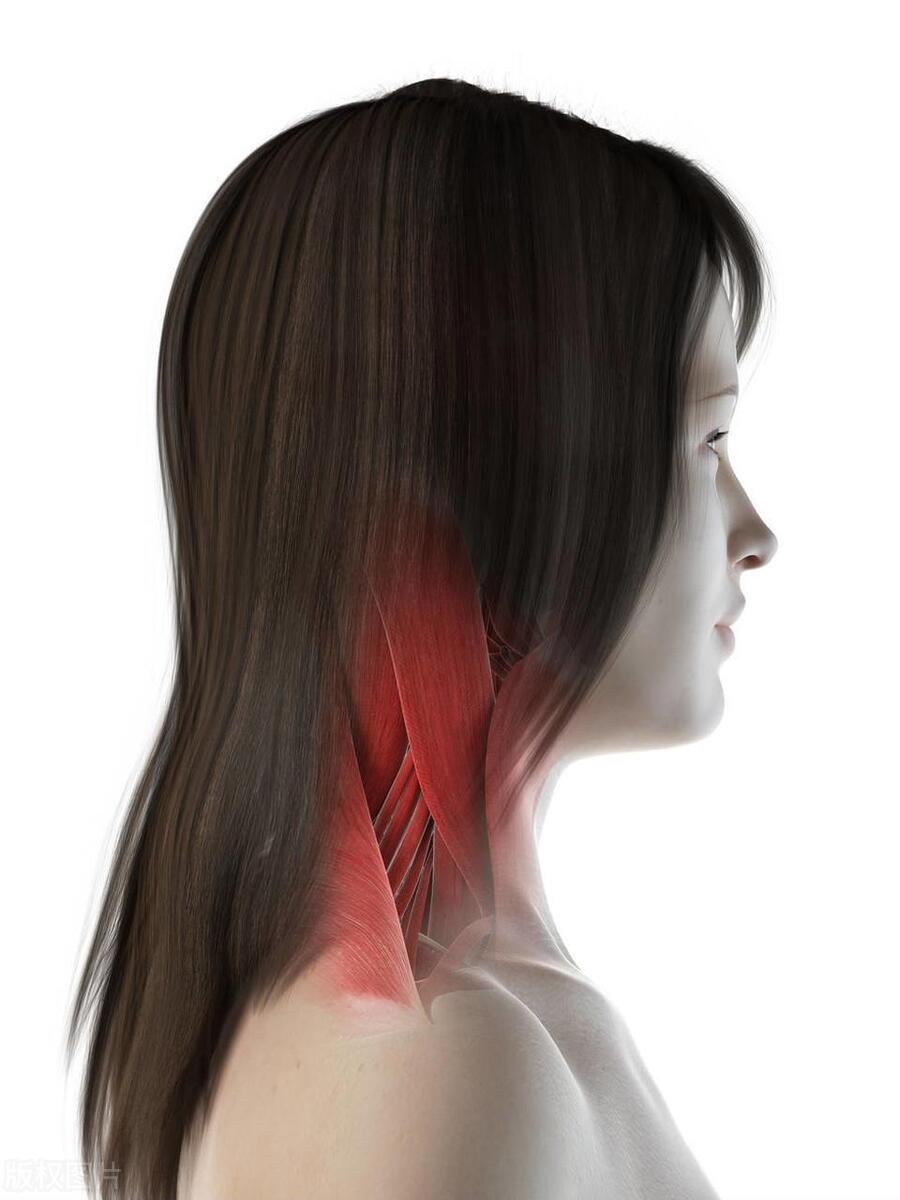 包皮过长会导致宫颈癌吗,丈夫包皮过长或包茎老婆得宫颈癌