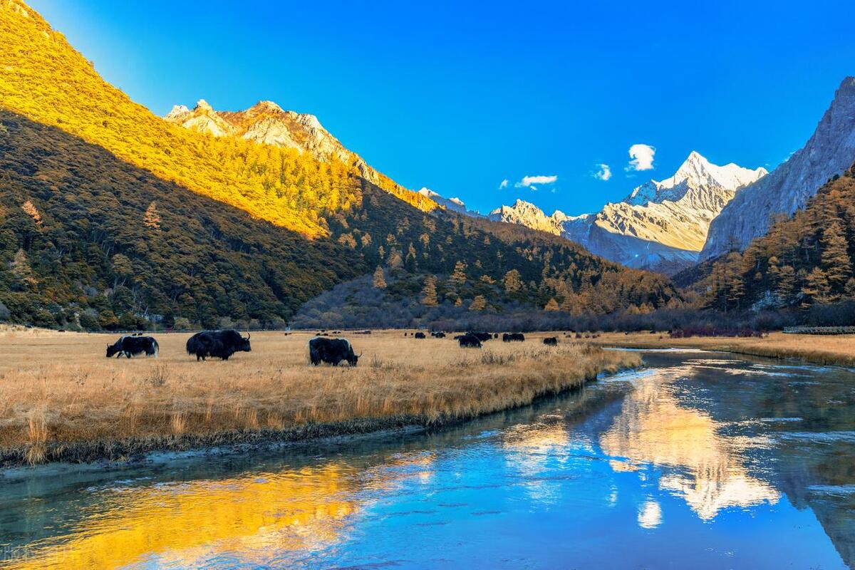 出游照片处理必备技巧,旅行中拍摄的照片怎么处理