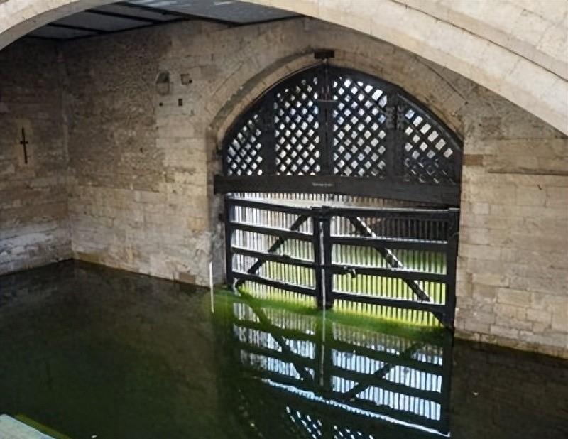 百万网红雅典娜现身缅北训狗营,缅北训狗场被救女孩真实采访