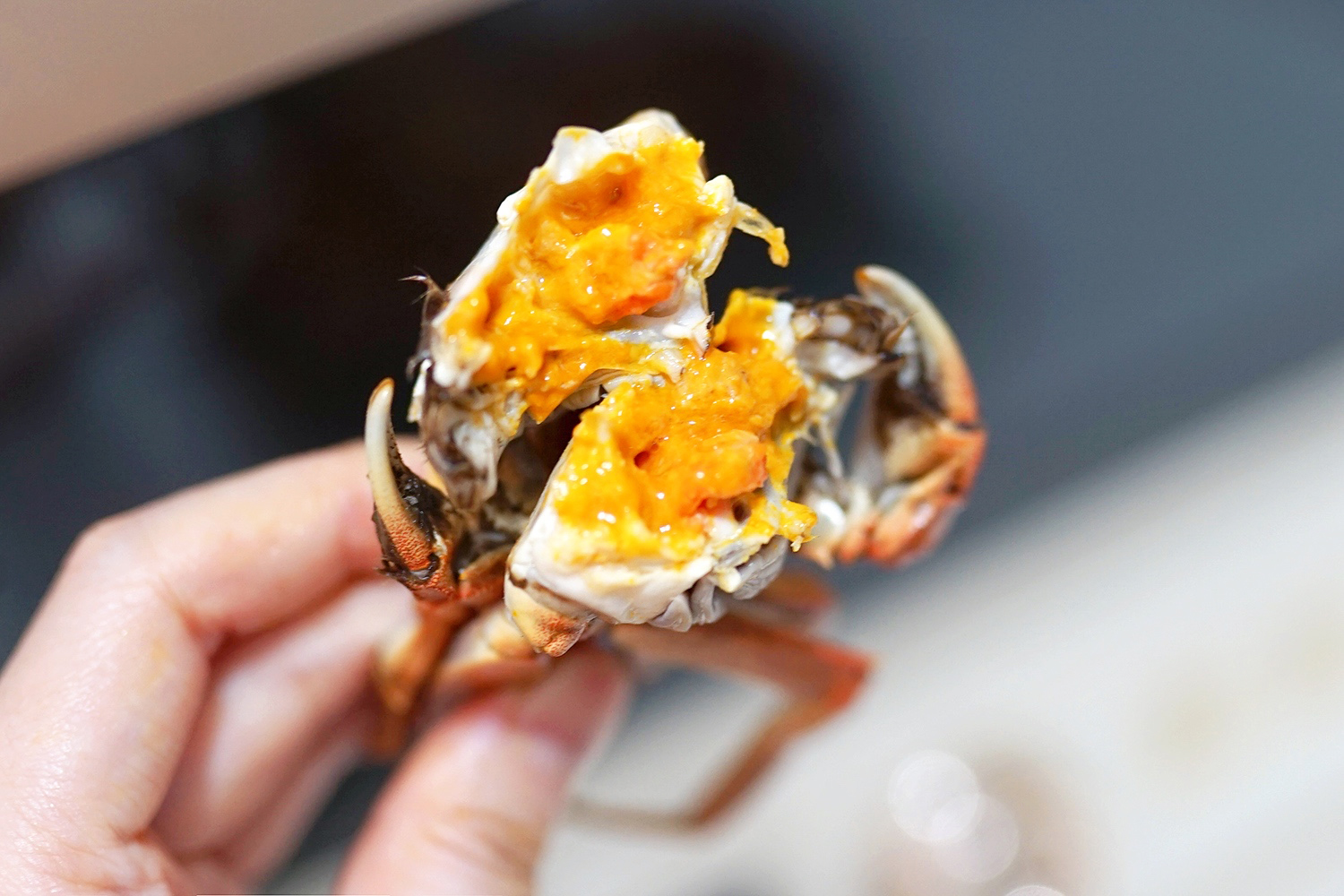 快手家常菜5分钟搞定蒸菜,微蒸烤美食菜谱大全