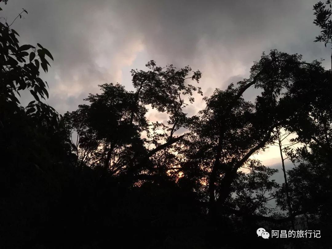 广西十万大山国家森林公园,广西十万大山国家森林公园图片