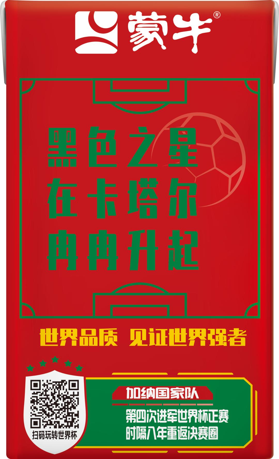 世界杯足球员故事,世界杯队长纪录片第四集