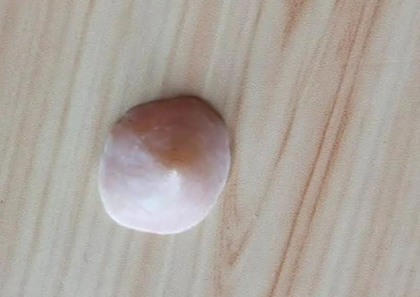 海南海鲜贝类有哪些,海南海鲜贝类