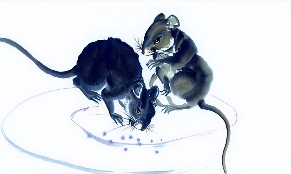 这两个生肖在一起一辈子钱财无忧,夫妻中有哪一个生肖日子富裕