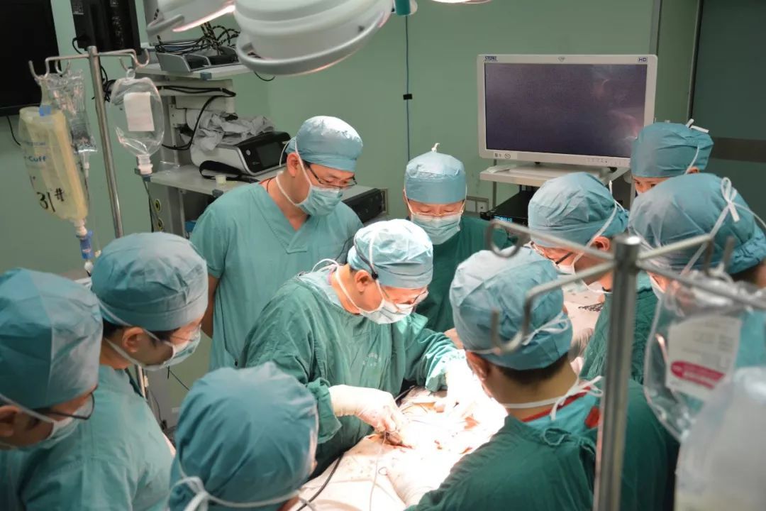 肛周脓肿中医三黄膏,紫草膏可以治肛周脓肿吗