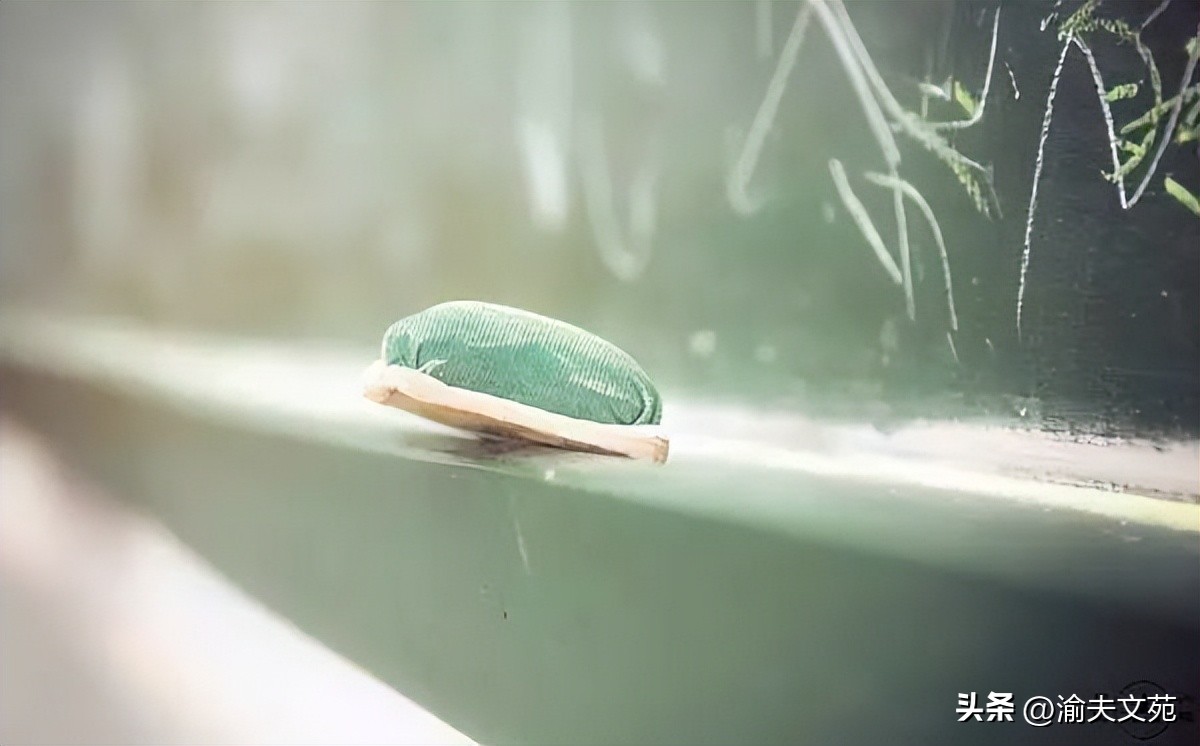 【剑新诗集】三尺情怀08:莘莘学子