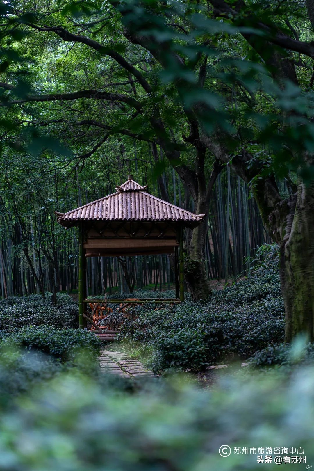 苏式园林庭院壁纸,苏州园林之夜壁纸