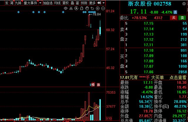中国农民企业龙头股,中国股市大龙头