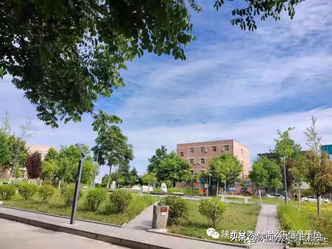 陕西职业技术学院是双高计划吗,双高专科学校陕西工商职业学院