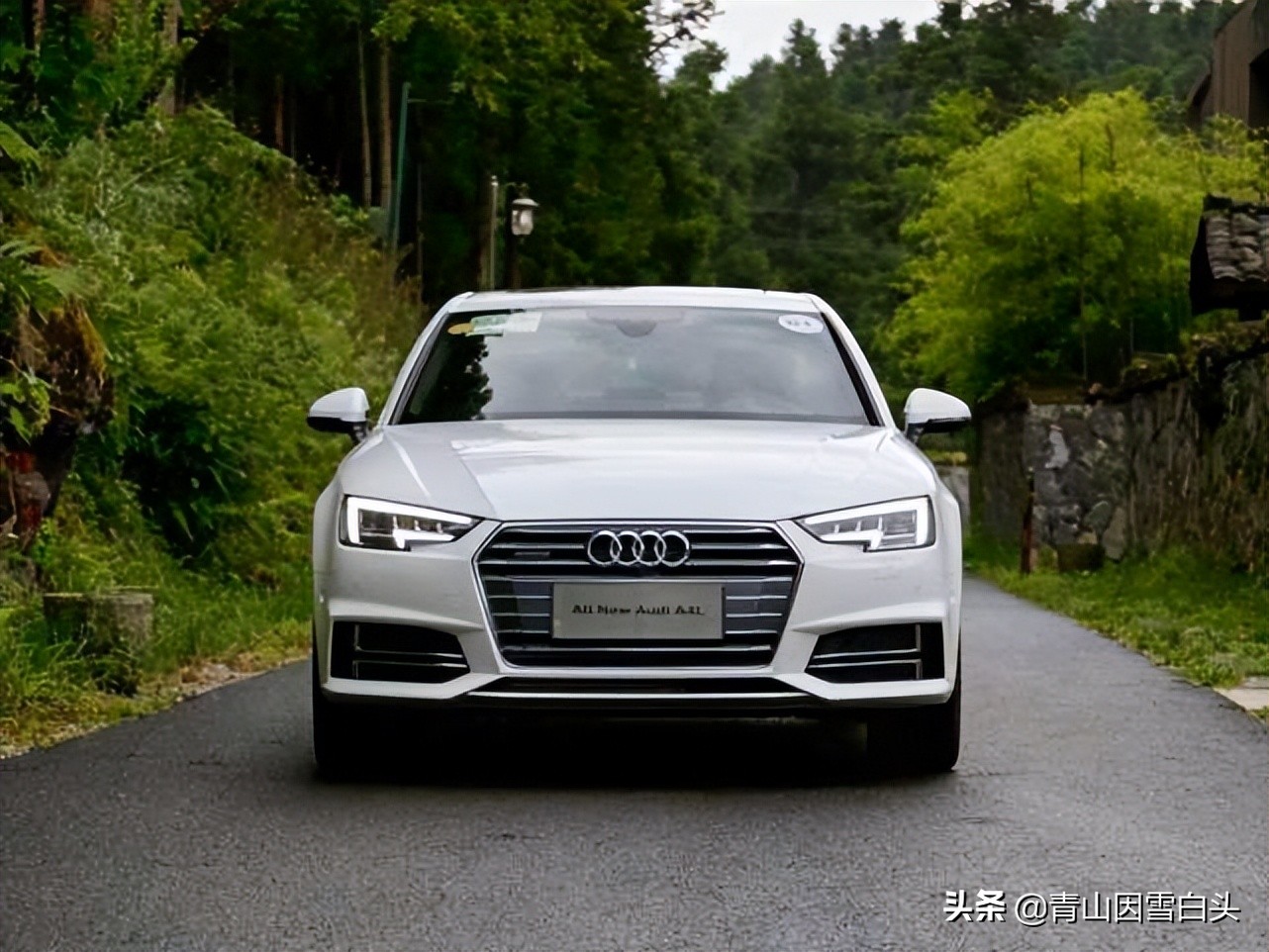 种啥树一亩竟赚10多万,一亩地种60棵树的株距和行距