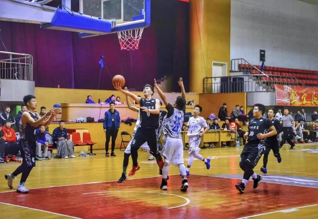 22年后,你的QQ好友重新上线了