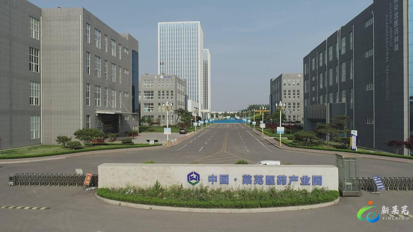 关于海右人才节意见建议,海右人才节文艺演出