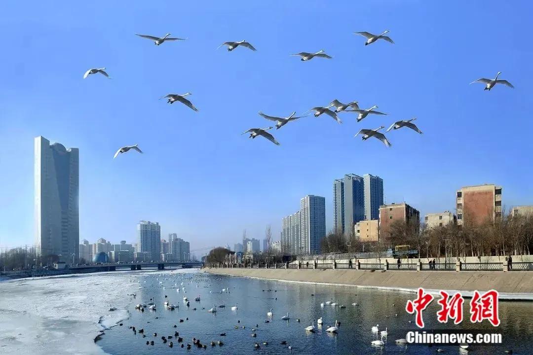 怎么刷自己的信用卡,自己怎样玩转信用卡