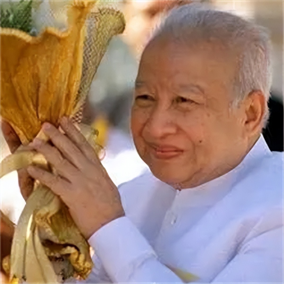 西哈努克流亡柬埔寨,中国看重西哈努克的真正原因