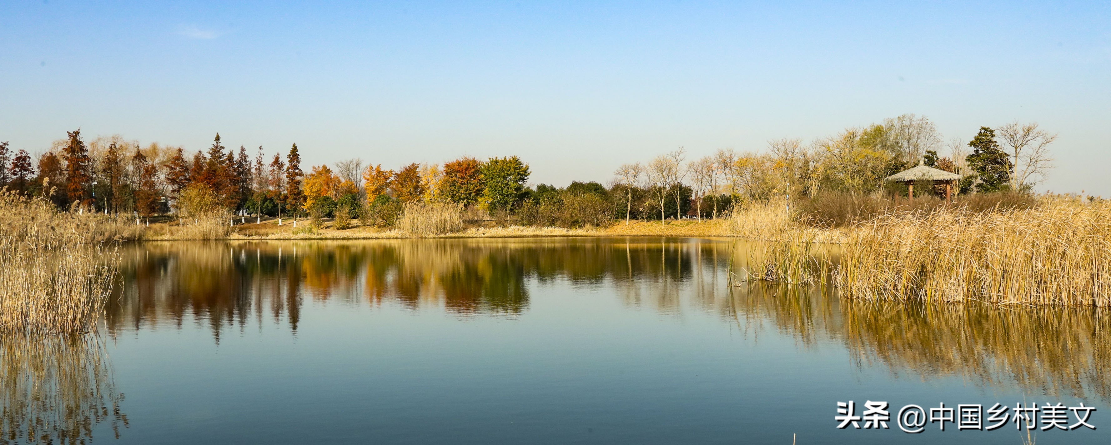 漫游金湖（散文）作者：周宏伟