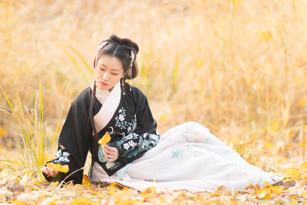 穿越重生小说历史汇总——第一弹一百本300W以上已完结