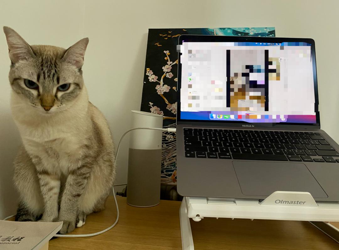 穷养富养不如爱自己,穷养自己富养妻完整版