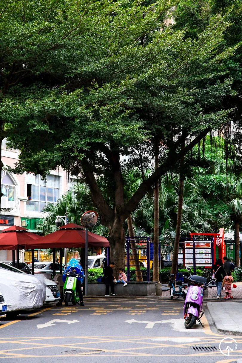 深圳航空空少乘务员,空姐空少乘务员
