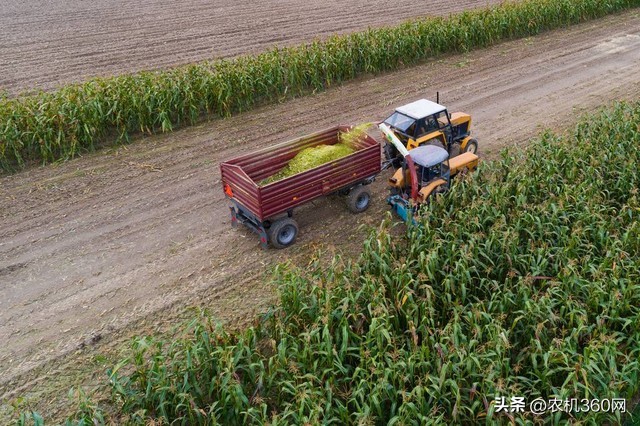 河北英虎玉米收割机多少钱一台,全国玉米收割机销量排行榜