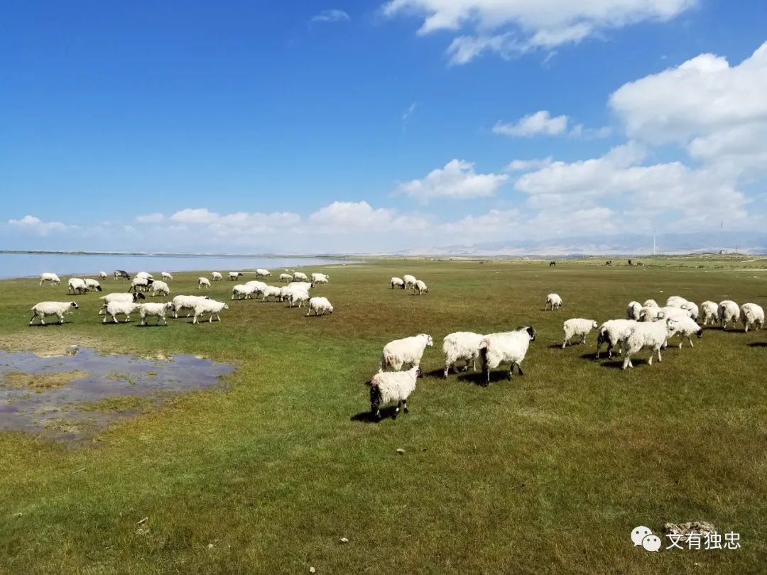 我们爱科学阅读,我们爱科学系列