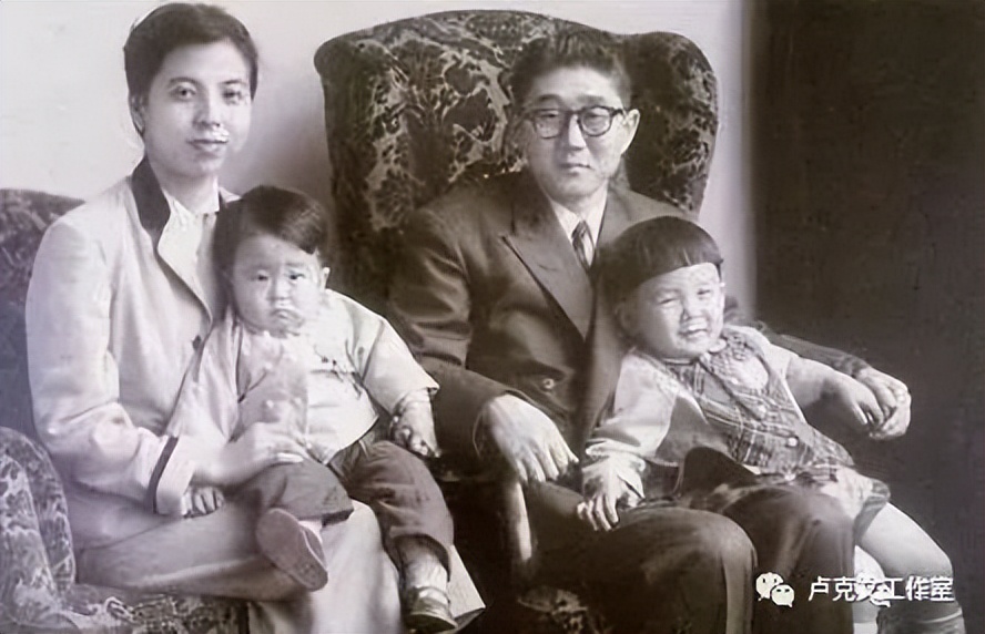 安倍晋三传卢克文,安倍晋三传