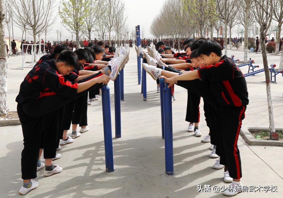 武校真的能学到武术吗,武校学武学哪一种好