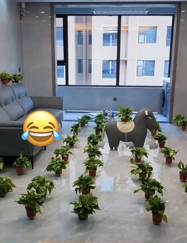 空气净化器除甲醛还是活性炭好,活性炭空气净化器能去甲醛吗