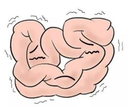 穿山甲机器人简介,体内穿山甲微型机器人