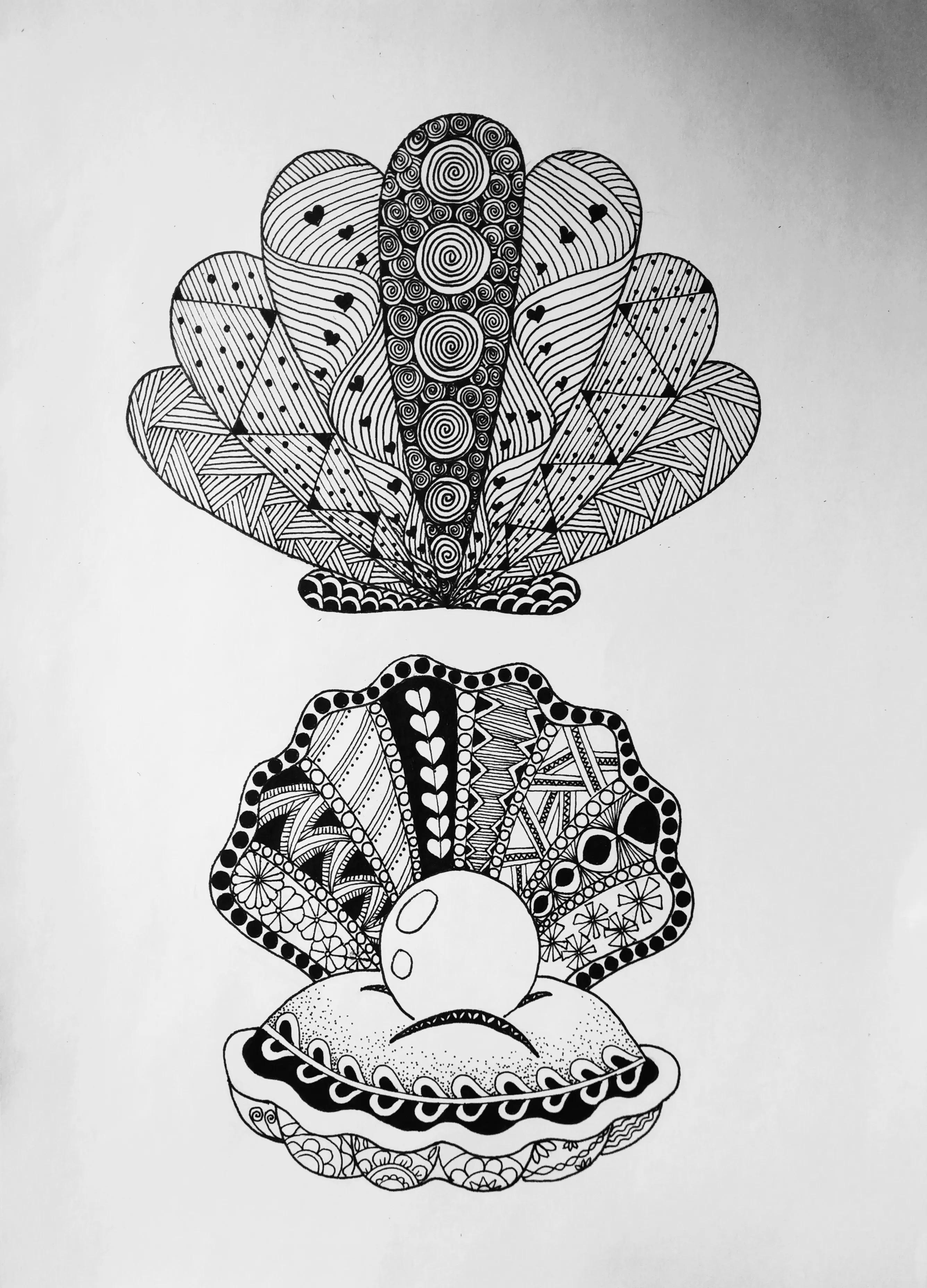 在扇贝上怎么画简单又漂亮,儿童线描画扇贝