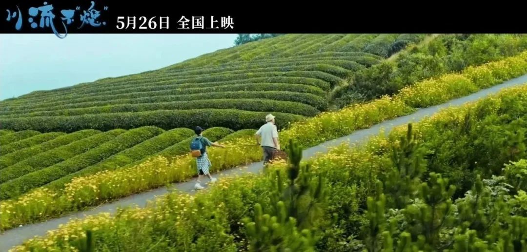 2位大师加华仔助阵，上映好评如潮！电影《川流不“熄”》好在哪