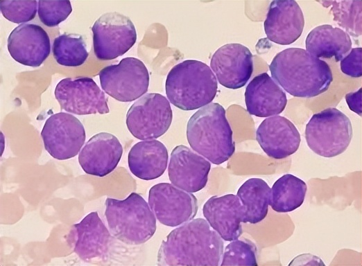 柑橘保果如何抢救看这篇就够了,柑橘保果知识点总结