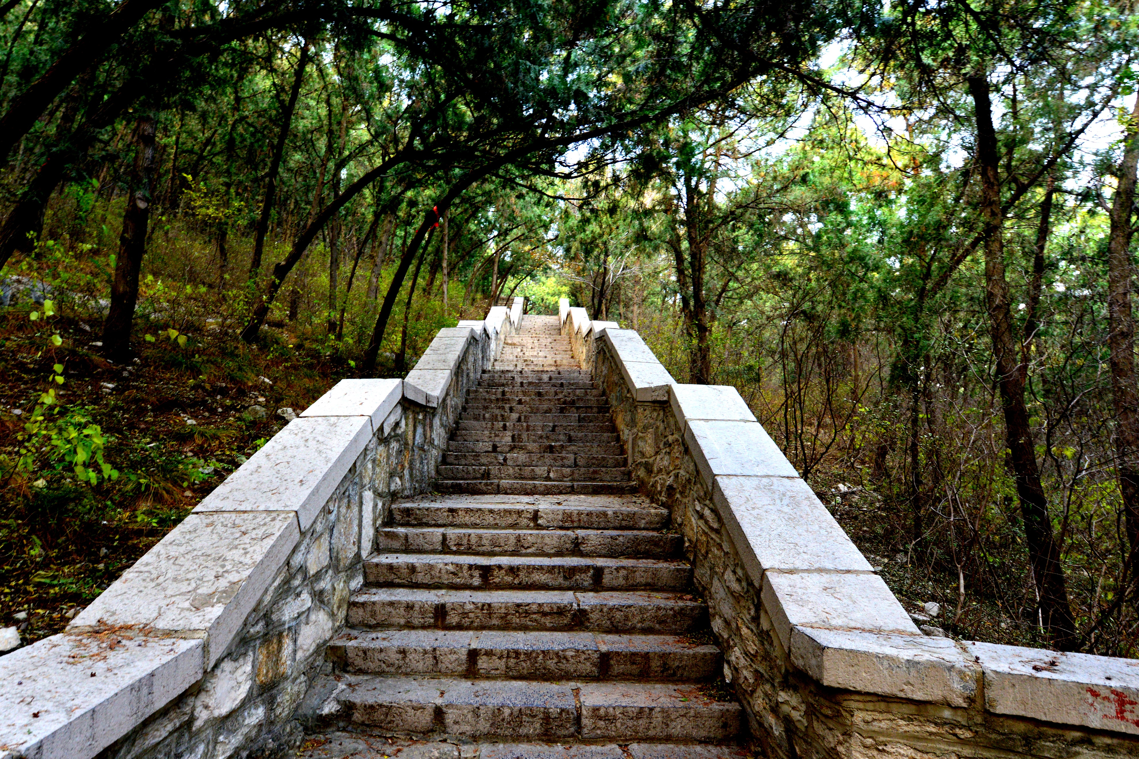 千佛山是济南三大名胜,济南三大景点千佛山