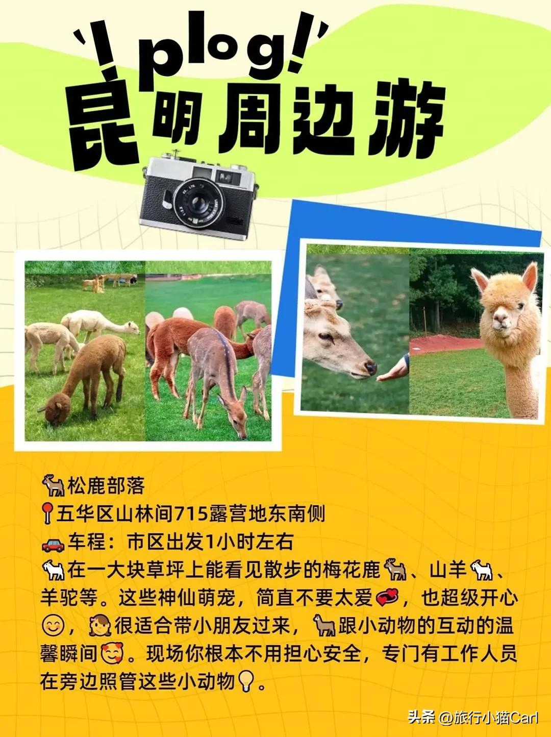 昆明及昆明周边景点,云南昆明周边游景点推荐