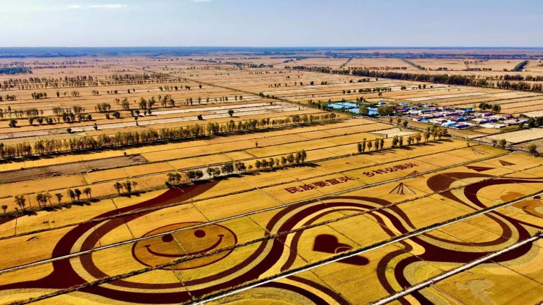 农文旅策划方案,农文旅项目规划设计流程