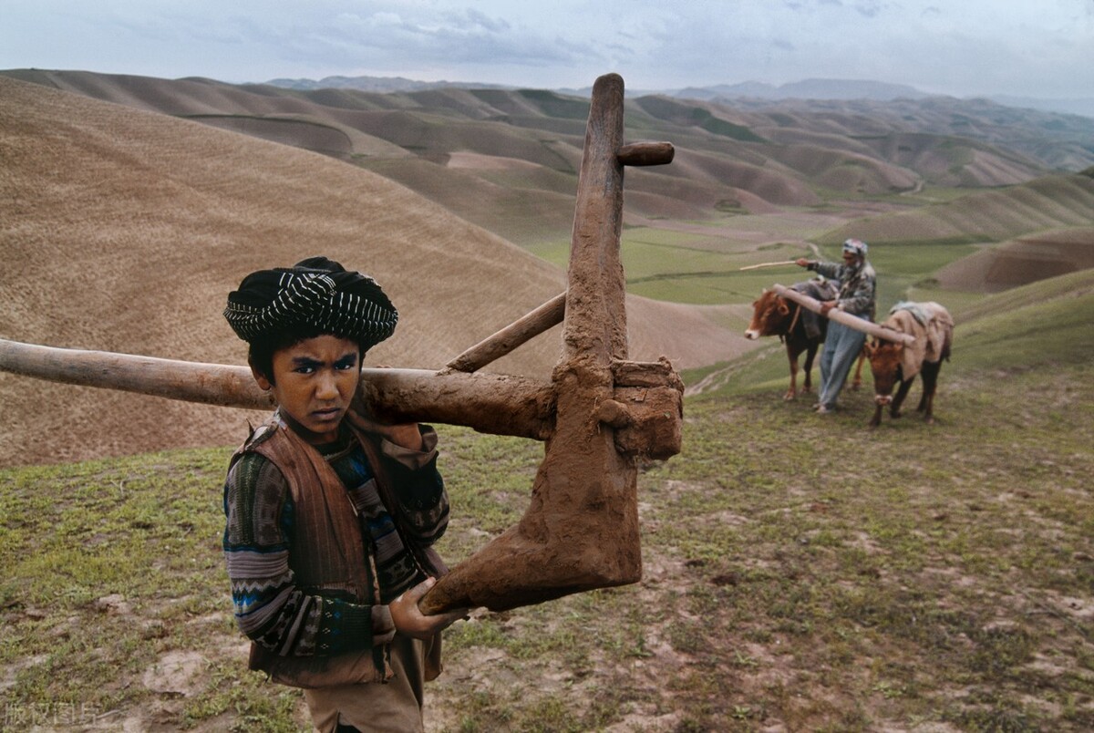 疾风知劲草患难见友情,患难中的友情600字