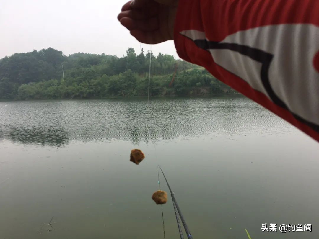 野钓用长子线好还是短子线好,野钓0.6子线和0.8子线哪个实用