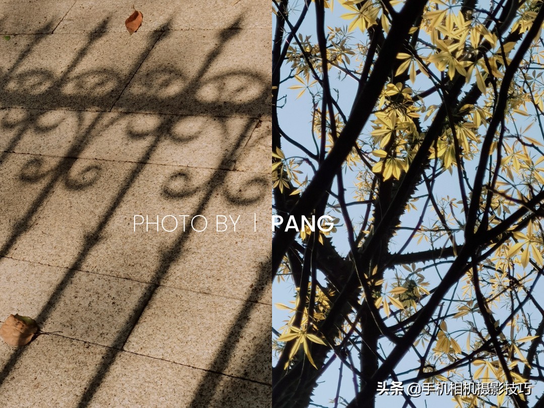 18组普通人拍出来的好照片：把不相关的东西拍到一起，效果很神奇