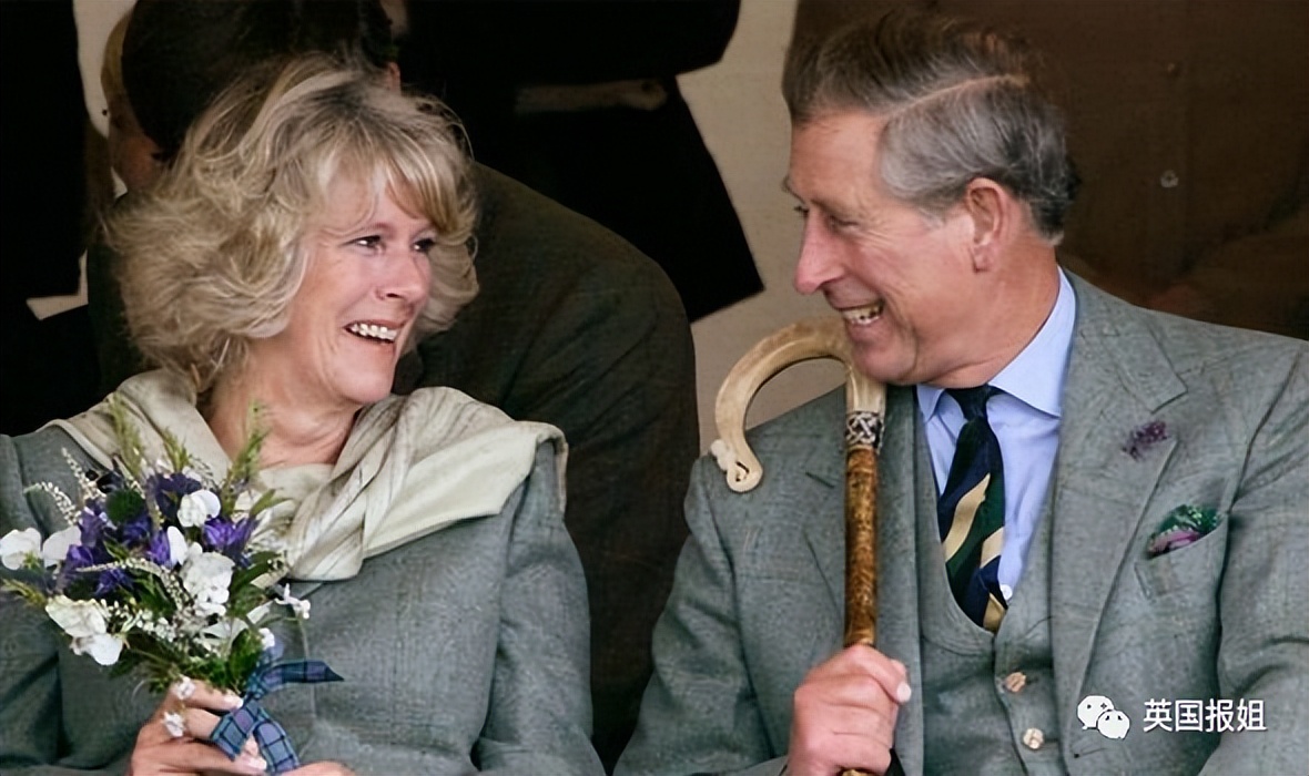 查尔斯另一个结局是什么,查尔斯和戴安娜斗争