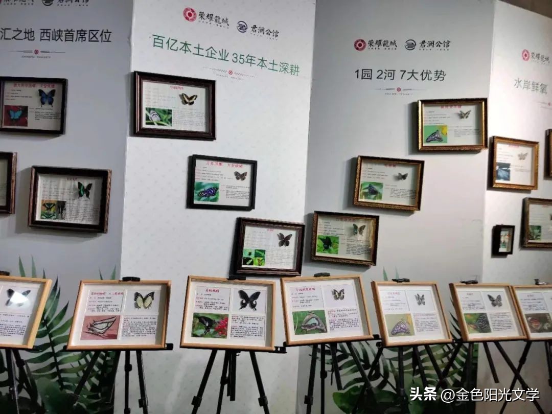 四年级写事优秀作文,四年级必背优秀作文