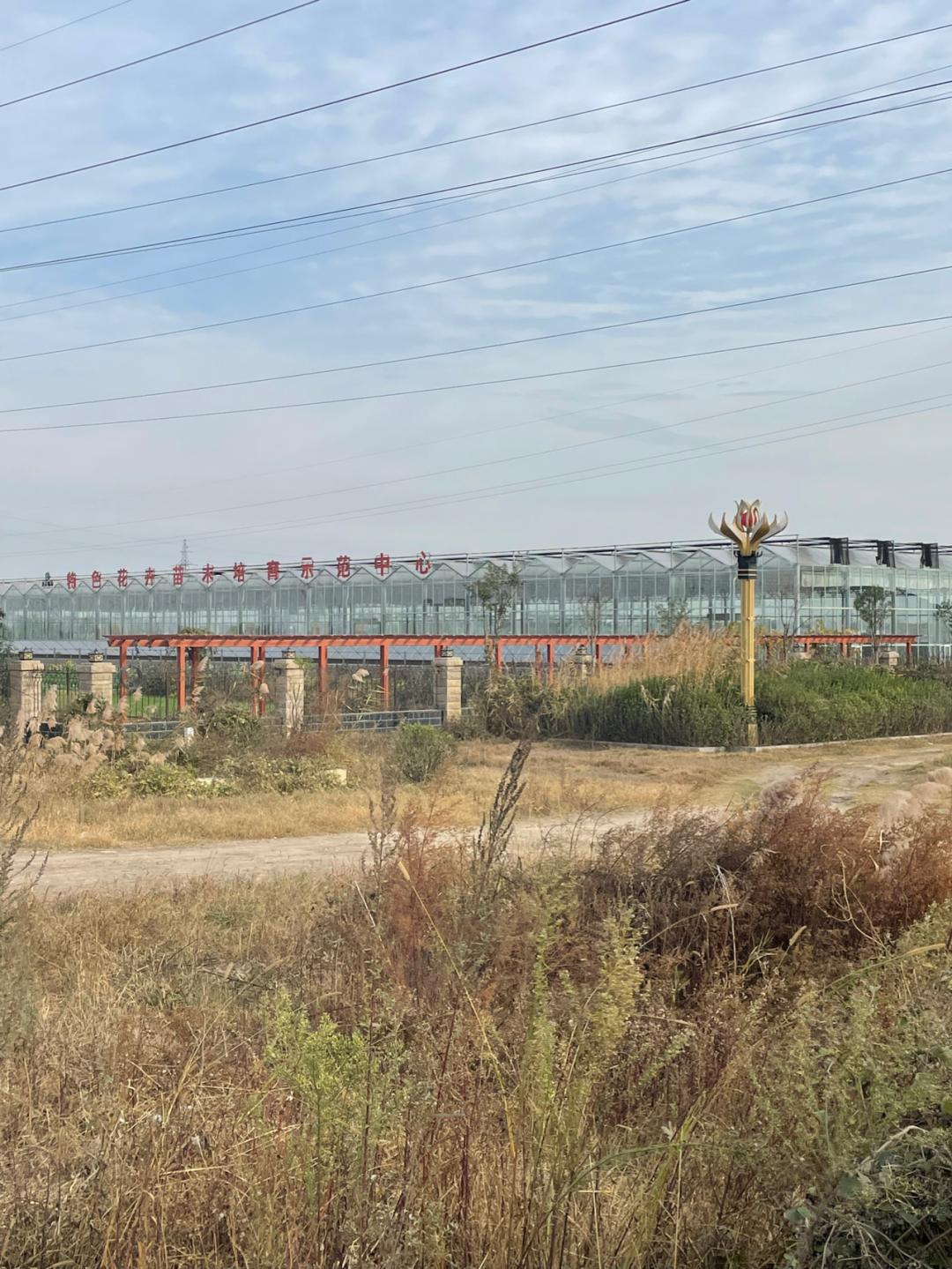 董董骑行山东,懂懂骑山东